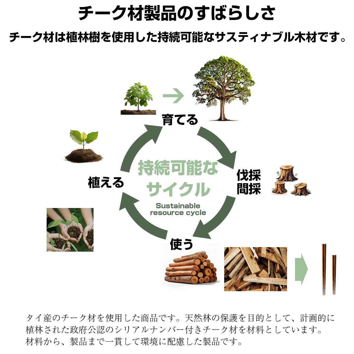 無垢チーク材 五角箸 お試しペアセット 【名入れ可、ロゴ入れ可】 【メール便可】